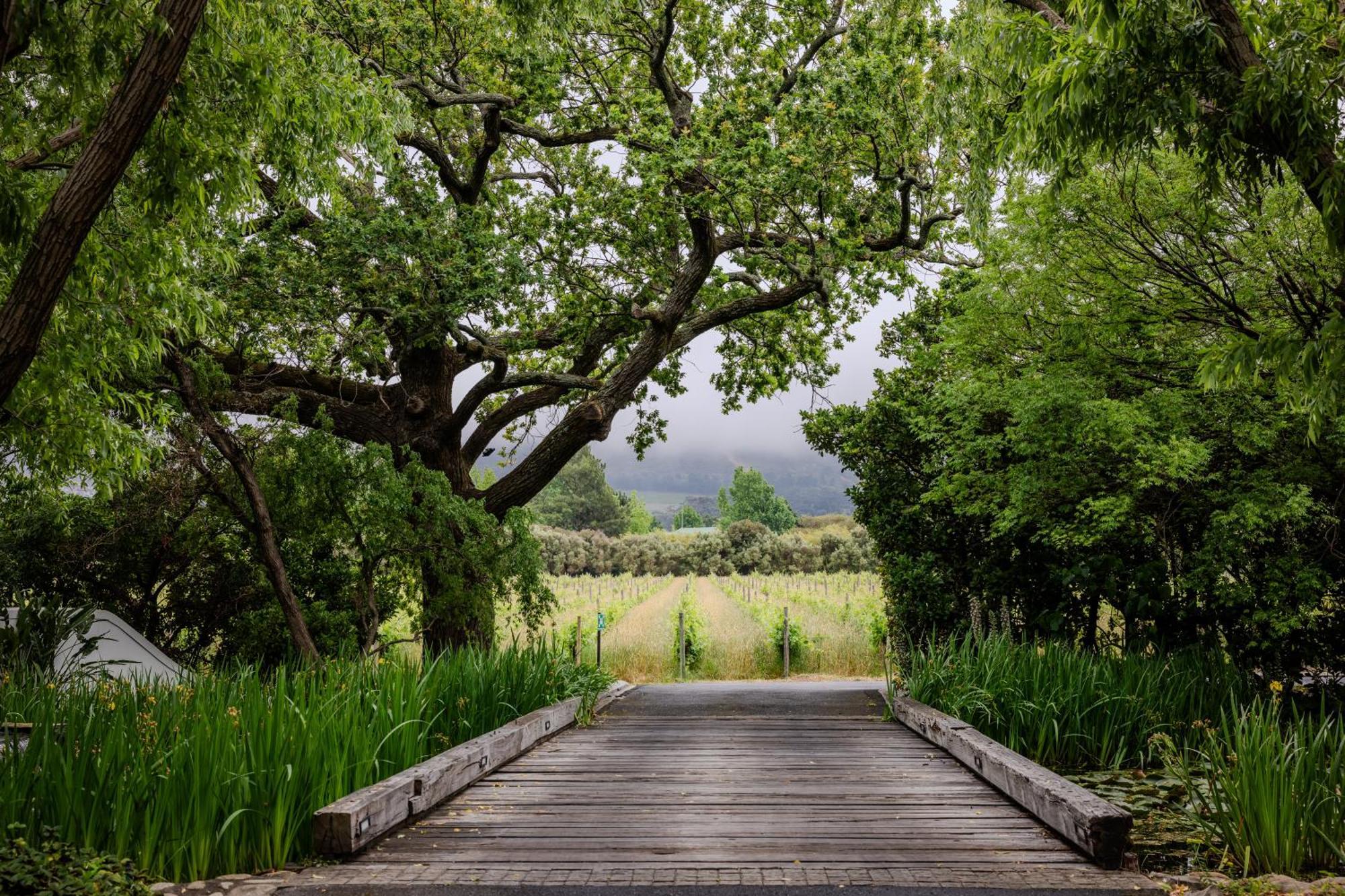 Grande Provence Hotel Franschhoek Kültér fotó
