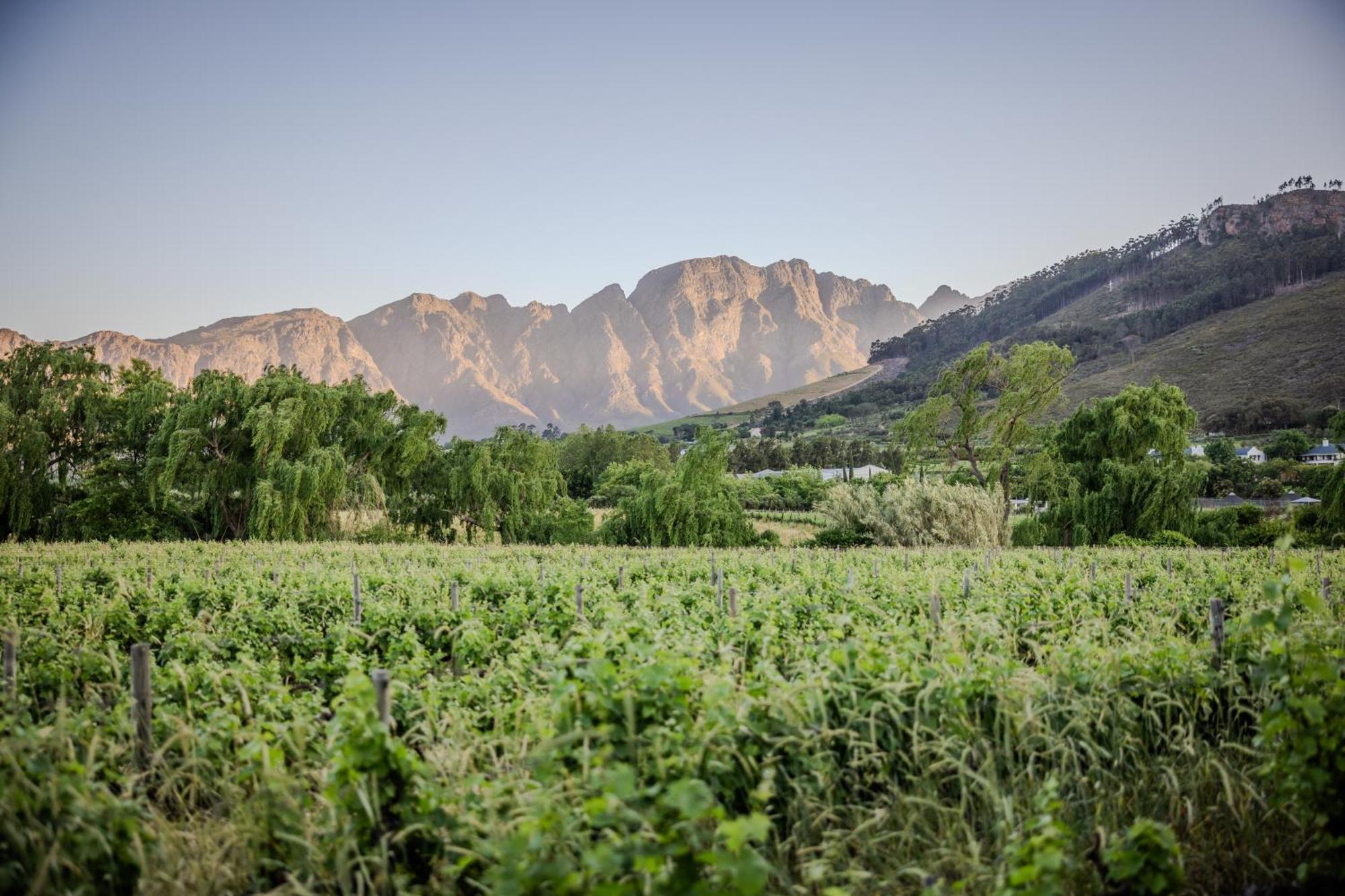 Grande Provence Hotel Franschhoek Kültér fotó